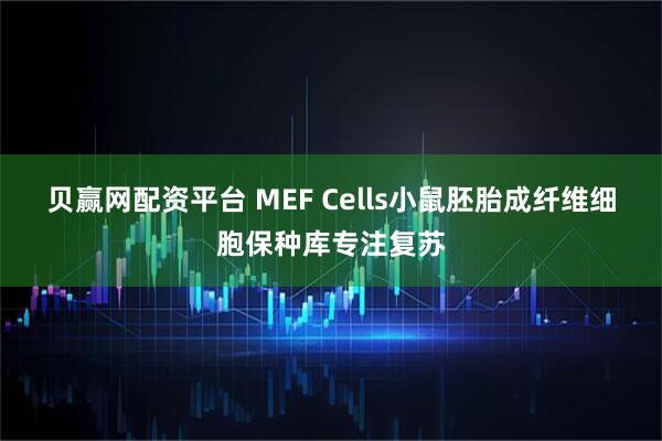 贝赢网配资平台 MEF Cells小鼠胚胎成纤维细胞保种库专注复苏
